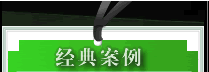 东台网站建设-系统开发