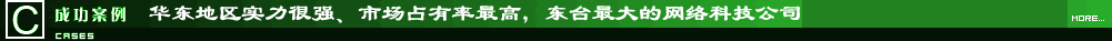 网站(网页)内容设计与建设-最新成功案例